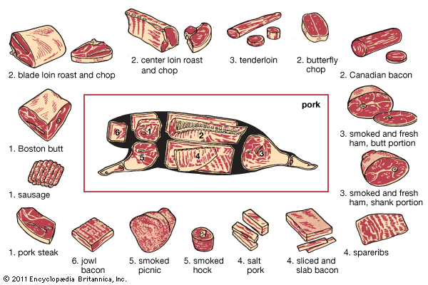 What is meat? –